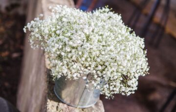 Dus, als je je bruiloft echt onvergetelijk wilt maken, overweeg dan om bloemen te gebruiken om de emoties van de dag te versterken.



Ik ga samen met jullie aan de slag om de perfecte bloemen te kiezen die bij jullie stijl en persoonlijkheid passen, en geniet van de emoties die ze oproepen op jullie speciale dag.